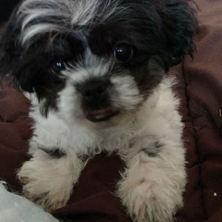 Profile Picture of Janet Allison (@janet.allison.5) on Facebook