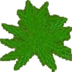 Profile Picture of Tony Raines (@TonyRaines2020) on Twitter