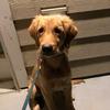 Profile Picture of Mark Steckly230 (@marksteckly0) on Tiktok