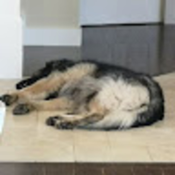 Shiloh Pemberton - Poshmark Profile Picture of Shiloh Pemberton (@shilohpemberton) on Poshmark