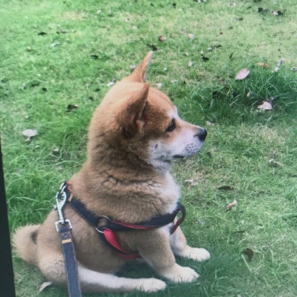 Profile Picture of Curtis Hendrix (@curtishendri148) on Poshmark