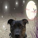 Profile Picture of Kieran Jennings (@kieranpaul.jennings) on Instagram