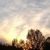 Profile Picture of Joshua Shea (@joshuashea787) on Youtube