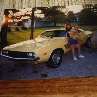 Profile Picture of James DeLambo (@JamesDeLambo3) on Twitter