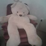 david rushbrook - Instagram Profile Picture of david rushbrook (@my612d) on Instagram