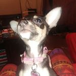 Profile Picture of Jessica Hoffert (@jessicahoffert) on Instagram