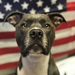 Profile Picture of Travis Aaron (@yourbuddytravo) on Instagram