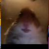Profile Picture of Nicholas Phillips (@@team_retrx) on Tiktok