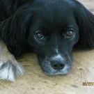 Amanda Erickson - Pinterest Profile Picture of Amanda Erickson (@peacefultable) on Pinterest