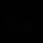 Profile Picture of profilo vecchio, nuovo👇🏻 (@christian.farinella) on Instagram