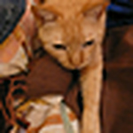 Profile Picture of June Lin (@june lin) on Flickr