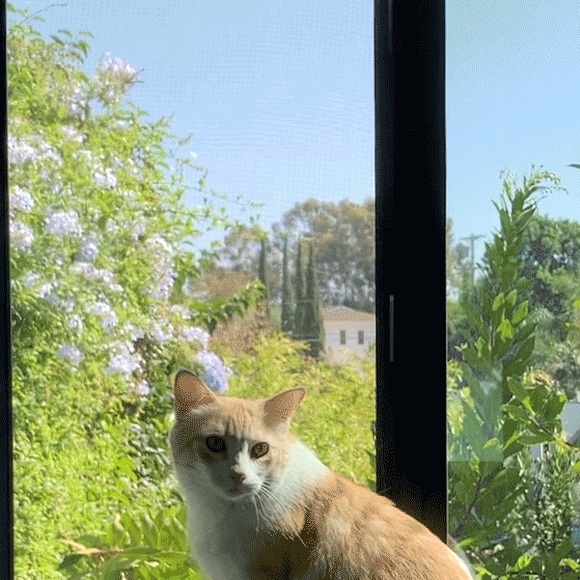 Profile Picture of Lisa Grant (@yanandgrant) on Poshmark