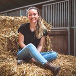 on top of the world - Instagram Profile Picture of on top of the world (@felinefauve) on Instagram