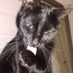 Profile Picture of Wybert Bastard (@itz_not_wybert) on Instagram