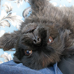 Profile Picture of Malcolm Williams (@malcolm williams1) on Flickr