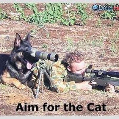 Profile Picture of David McAleese (@xxHOTDOGxx) on Twitter