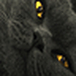 Profile Picture of Jcassltd (@jcassltd) on Flickr