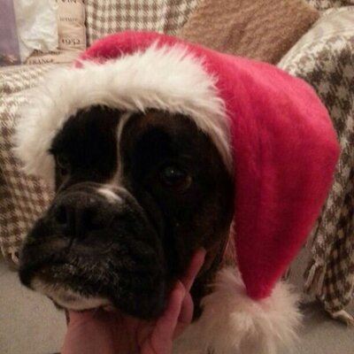 Profile Picture of Craig (@Arnold14Craig) on Twitter