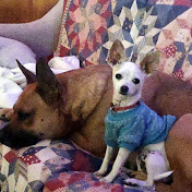 Profile Picture of Sharon Cordova (@sharoncordova1352) on Youtube