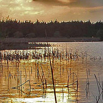 Profile Picture of michael hurley (@m_dhurley) on Flickr