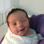 Greer & Quinny - Instagram Profile Picture of Greer & Quinny (@greerandquinn) on Instagram