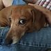 Profile Picture of Keith Wenzel (@wwjdfroggap) on Pinterest