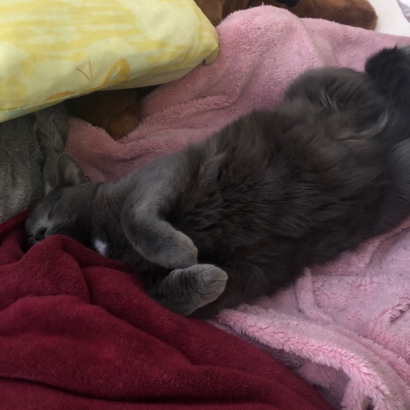 Profile Picture of Joel Martino (@joelmartino) on Poshmark