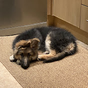 Profile Picture of Kevin Brinkley (@kevinbrinkley8333) on Youtube