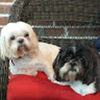 Profile Picture of Dawn Mccants (@dawn-mccants-1) on Quora