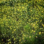 Profile Picture of Caitlin Roberts (@xxcatie0215xx) on Instagram