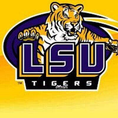 Profile Picture of Kim Castille (@tigerfan122) on Twitter