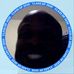 Profile Picture of Javaris Mcclain (@javaris.mcclain.71) on Facebook