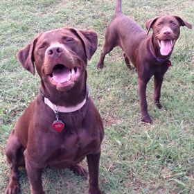 Profile Picture of Cami Campbell (@camillecampbell) on Pinterest