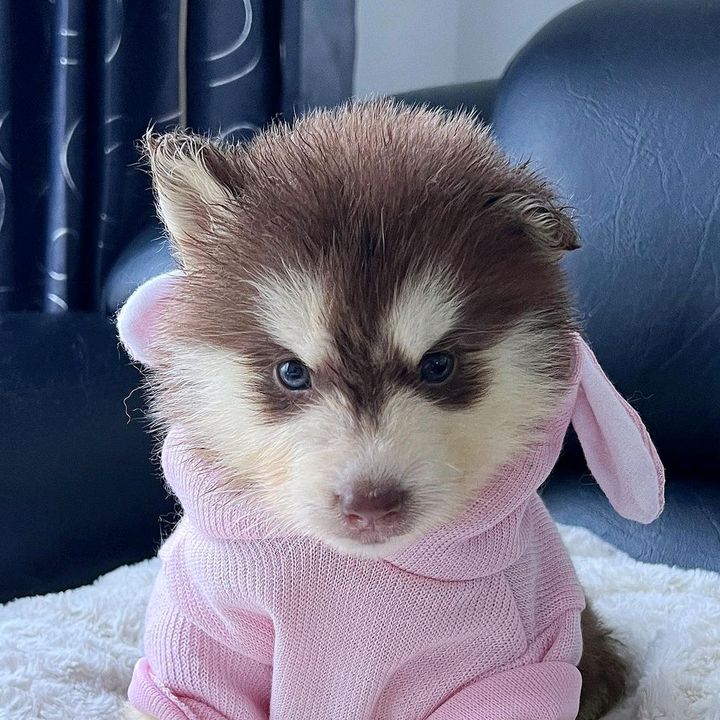 Profile Picture of Glen Seok (@glen.seok) on Tiktok