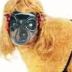 Lily Tresent - Facebook Profile Picture of Lily Tresent (@lily.tresent) on Facebook