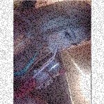 Profile Picture of Cathy Paine (@ahmetrigue42) on Instagram