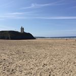 Profile Picture of Alice Moylan (@moylanalice) on Instagram