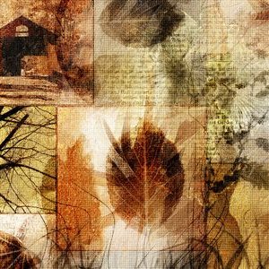 Profile Picture of Robert Bromley (@robertbromley1) on Twitter