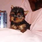 Profile Picture of Cindy Barrett (@cindy.barrett.961) on Facebook