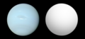 Profile Picture of Gliese 436 bon Wikipedia
