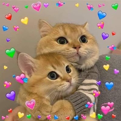 Profile Picture of Ng Ng (@NgNg12447430) on Twitter