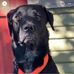 Profile Picture of Ron Franklin (@ron.franklin.355) on Facebook