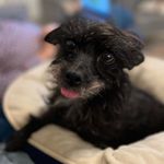 Profile Picture of Nancy Pressel Alpert (@nancyalpert) on Instagram