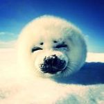 Profile Picture of Bryan Wackernagel (@bryanwackernagel) on Instagram