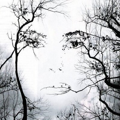 Profile Picture of Shelly Widner Webber (@Seeeshelll) on Twitter