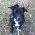 Profile Picture of Aaron (@trusky_) on Instagram