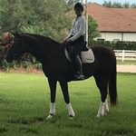 Profile Picture of Andrea Peltz Pomerantz (@andreapeltz_) on Instagram