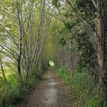 Ivy Ferguson - Instagram Profile Picture of Ivy Ferguson (@ivyferguson) on Instagram