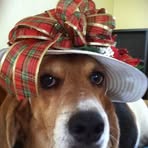 Profile Picture of Opal Gregory (@opal.gregory.3) on Facebook