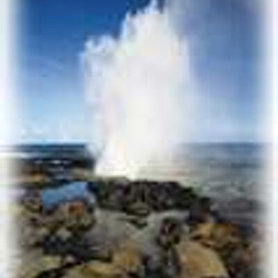 Profile Picture of Rob Ostrinsky (@imreo) on Twitter